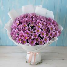 Букет цветов из:  Хризантемы в Харпе