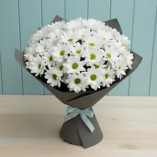 Букет цветов из:  Хризантемы #REPLACE_PRED# Харпе