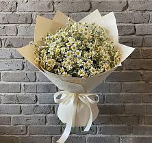 Букет цветов из:  Ромашки в Харпе