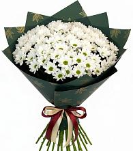 Букет цветов из:  Хризантемы в Харпе