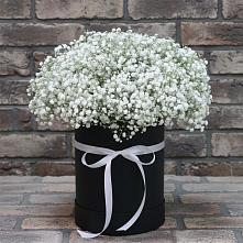 Цветочная композиция из Гипсофила в шляпной коробке в Харпе