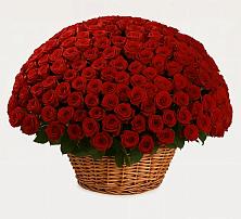 Премиум букет из: Розы в Харпе