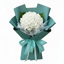Букет цветов из:  Гортензия в Харпе